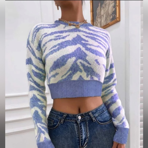 Zebra Striped Blue Sweater - Picture 2 of 4